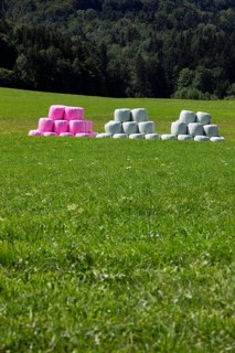 Colourful hay bales in the meadow near the village of Koppl, Osterhorngruppe, Flachgau, Land