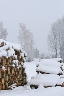 Wintertime, woodpile, Germany, Europe