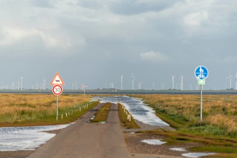 Hamburg Hallig, traffic sign, caution sheep, car, wind turbines in the Koog, Reußenköge, North
