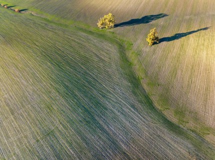 Cultivated fields in winter in the Campiña Cordobesa, the fertile rural area south of the town of
