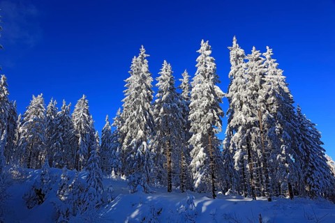 Winter landscape in the Fichtelgebirge, Bayreuth district, Upper Franconia, Bavaria, Germany,