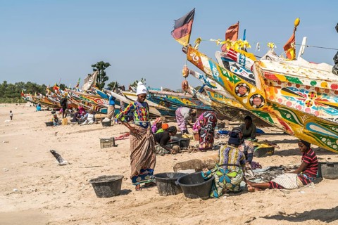 The fishermen's wives with the colourful fishing boats on the beach of Sanyang, Gambia, West