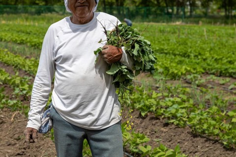 Alamosa, Colorado, The Rio Grande Farm Park. The commercial side of the nonprofit farm allows