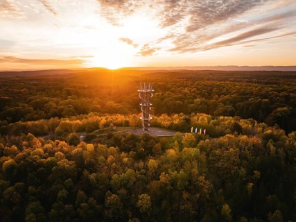 Aerial view of the Schönbuchturm in autumn forest at sunrise, Herrenberg, Germany, Europe