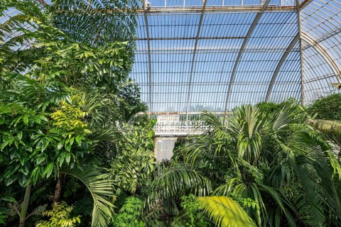 Palm House, oldest Victorian greenhouse in the world, Royal Botanic Gardens, Kew, London, England,