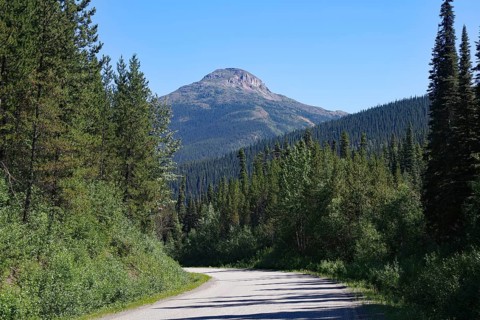 Narrow, traffic-free road leads through rugged mountain landscape, wilderness, Stewart Cassiar