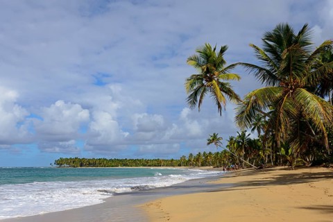 A lonely beach with coconut palms under a slightly cloudy sky near a calm sea, Limon beach, El