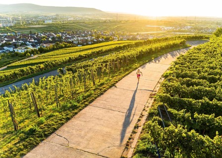 Young woman in Fitness training, vineyard at Grossheppach, Remstal valley, Baden Württemberg,