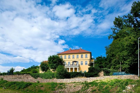 The Zechsteinweg continues past the Zechsteinhaus, a 17th century winery with extensive vineyards