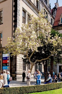 Residential Palace in spring. Large parts of the Residenzschloss in Dresden have already been