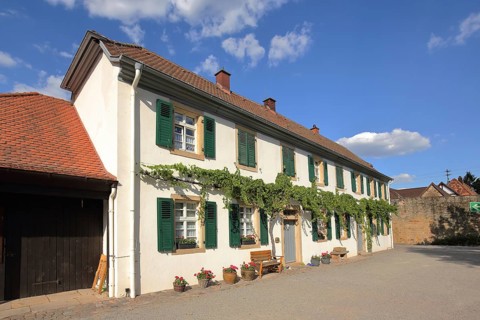 Building with shutters and vines in the courtyard of the Herrenhof in Mußbach, Neustadt an der