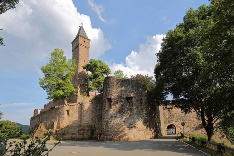 Castle built 1270 in Hirschhorn am Neckar, Neckar Valley, Odenwald, Hesse, Germany, Europe