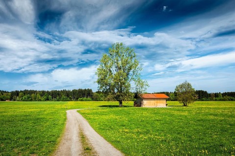 Parstoral European scene, rural road in summer meadow, tree and wooden shed. Bavaria, Germany,