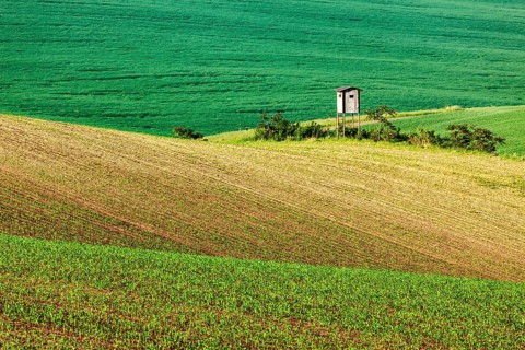 Rural Europe background, Moravian rolling landscape with hunting tower shack on sunset. Moravia,