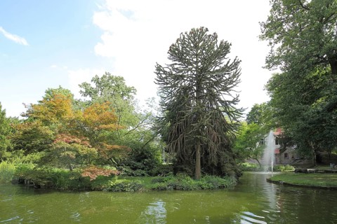 Pond with fountain in Verna Park Stadtpark, Rüsselsheim, Hesse, Germany, Europe
