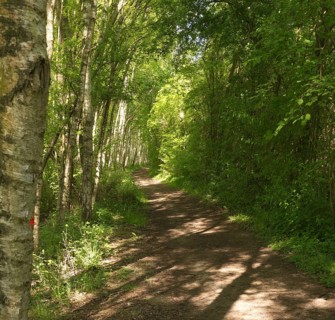Biking and hiking trail at Mechower See. in the Schaalsee UNESCO Biosphere Reserve in Northwest