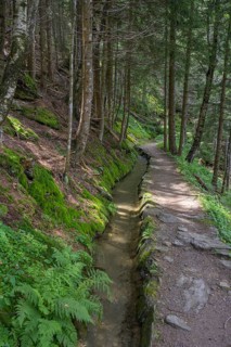 Hiking trail along the Ulfaser Waal, moss in Passeier, South Tyrol, Italy, Europe