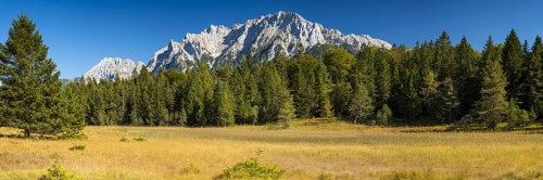 Moorland landscape near the Lautersee, near Mittenwald, with the Karwendel Mountains behind,