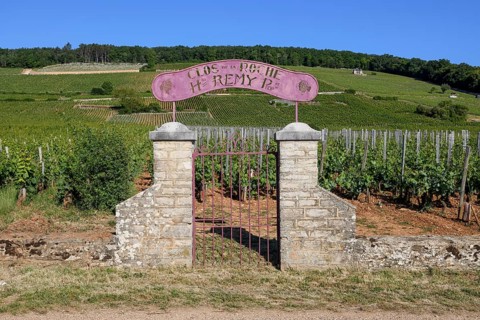 Stone gate at the vineyard of the Clos de la Roche winery, Route des Grand-Crus, Route of Fine