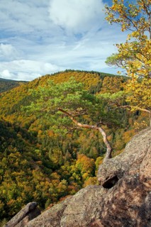 View from the Ilsestein, Ilsestone near Ilsenburg in the Ilsetal, Harz Mountains, Thale,