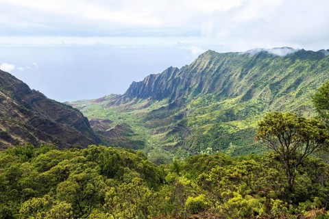 Kalalau Valley, Koke?e State Park, Na Pali Coast, Kauai, Hawaii, USA, North America