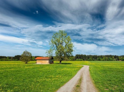 Rural road in summer meadow with wooden shed. Bavaria, Germany, Europe