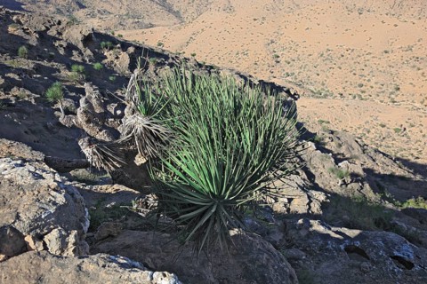 Landscape of the Southern Dhofar, Jabal al-Qamar, Oman, Asia