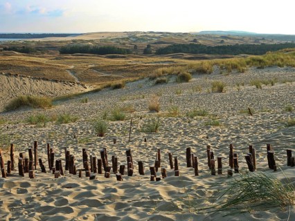 The Parnidis Dune in the Curonian Spit National Park is one of the largest shifting sand dunes in