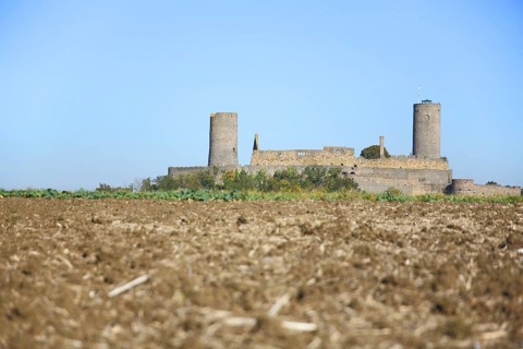 View of Münzenberg Castle, blur, field, Wetterau, Hesse, Germany, Europe