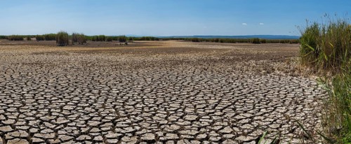 Heavily desiccated soil of Lake Neusiedl, Lake Neusiedl-Seewinkel National Park, Illmitz,