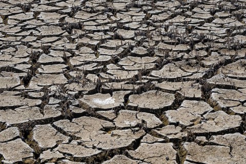 Heavily desiccated soil of Lake Neusiedl, Lake Neusiedl-Seewinkel National Park, Illmitz,