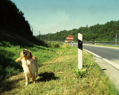 DEU, Germany: The historical colour photos from the times of the 70s show events and persons from