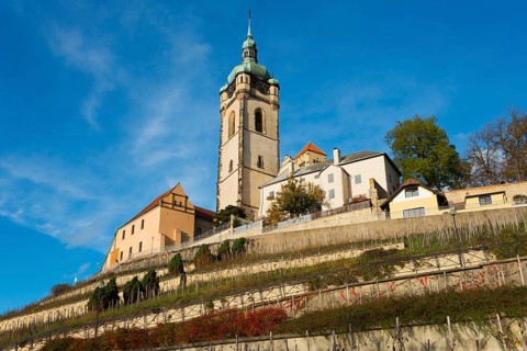 Church with surrounding buildings on a vineyard hill, on a clear day, Melnik Castle, Church of St