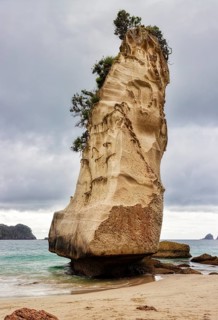 Monolithic rock, overgrown with plants, on a beach under a dramatic sky, Cathedral Grove,