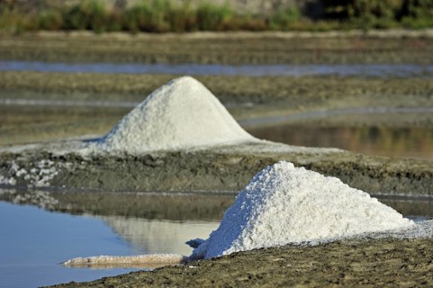 Salt pan for the poduction of Fleur de sel, sea salt on the island Ile de Ré, Charente-Maritime,