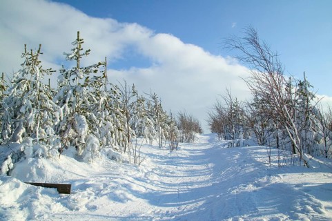 Altenberg in winter is one of the most important winter sports resorts in the Eastern Ore Mountains