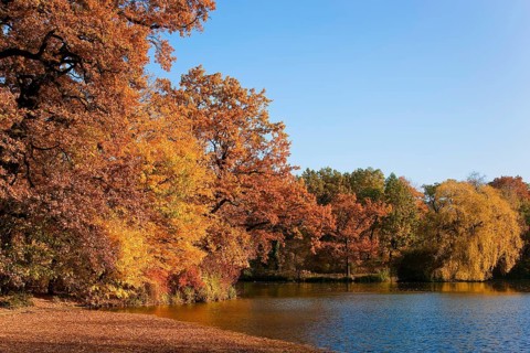 Carolasee The Great Garden was laid out from 1676 for the Elector Prince and later Elector Johann