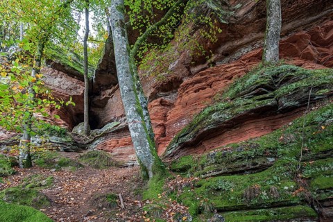 Old castle rock, red sandstone rock formation, natural and cultural monument, Brechenberg near