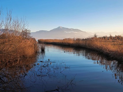 Lorze flows into Lake Zug, Rigi in the background, view of the Alps. Cham, Canton of Zug,
