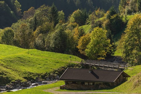 Agriculture, Alpine pasture in the Zillergrund valley, Alpine pasture, Ziller mountain stream,