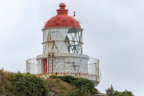 Taiaroa Head Leuchtturm, Otago-Halbinsel, Neuseeland