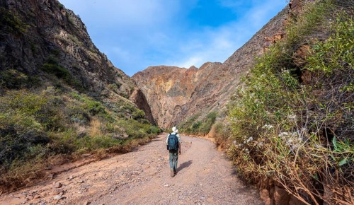 Mountaineer in a canyon with a dry stream bed, eroded mountain landscape with red sandstone rocks,