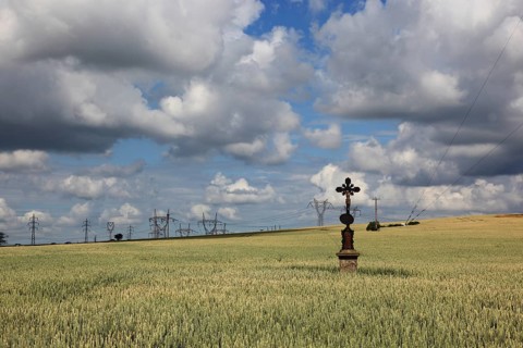 Field cross in a wheat field, in the background power lines, near Dukovany, Czech Republic, Grain