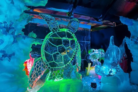 Turtle, Ice Sculpture Festival, Zwolle, Province of Overijssel, Netherlands