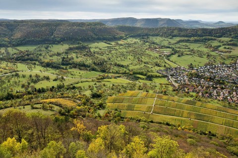 View from Hohenneuffen Castle, autumnal vineyards, Beuren, Albtrauf, Swabian Alb,