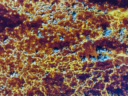 Detail of the Rio Tinto (Red river) with its deep reddish hue due to oxidised iron minerals in its