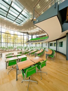 Saxon State Parliament, Plenary Hall