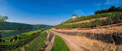 Not far from the Boselspitze, leaning towards the Elbe, is the vineyard known as the Rote Presse.