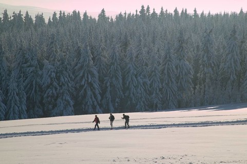 DEU Saxony Landscape near Hermsdorf in the Ore Mountains