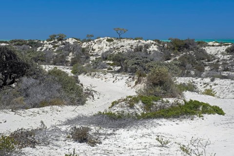 White sand dunes along the Malagasy Indian Ocean west coast, Atsimo-Andrefana Region, Madagascar,